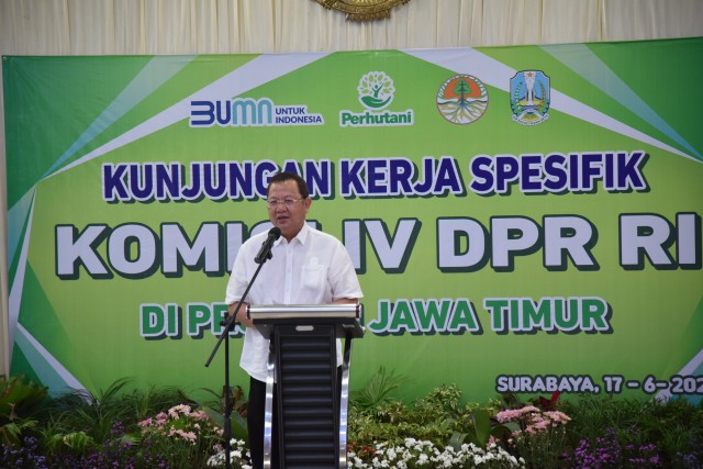 Atasi PMK, Komisi IV DPR RI Minta Segera Vaksinasi Hewan Ternak