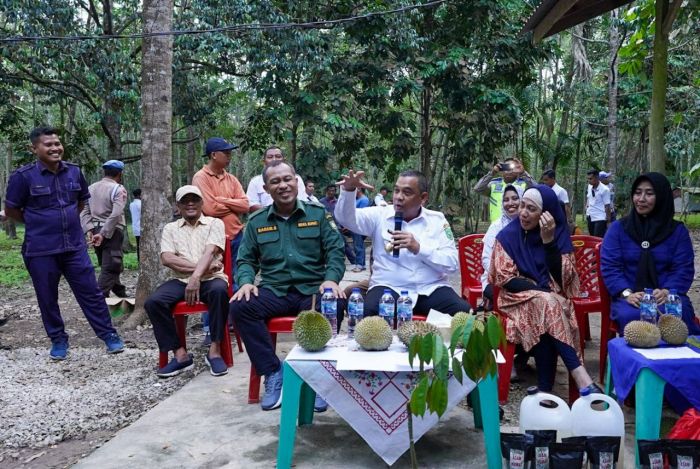 Wagubri Imbau Masyarakat Kembangkan Bibit Durian Lokal