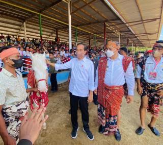 Presiden Jokowi Nonton Pacuan Kuda di Lapangan Pacuan Kuda Rihi Eti Prailiu