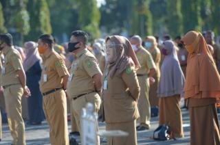 Pekan Depan, Pemprov Riau Serahkan SK untuk 123 CPNS