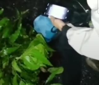 Perempuan Muda Warga Panam Pekanbaru Tewas Usai Ditabrak Truk