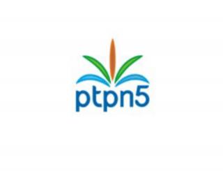 Sorot Peningkatan Anggaran Pengamanan PTPTN V, Abujapi: Komisaris Titipan Parpol