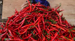 Ampun! Harga Cabai di Pekanbaru Tembus Rp85.000 per Kg