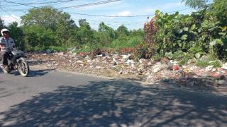 Sepanjang Jalan di Kelurahan Umban Sari, Bau sampah Tercium Menyengat