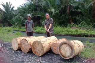Kopi Librika dan Sagu Meranti Kini Miliki Bersertifikat Indikasi Geografis