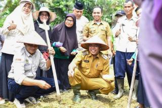 Pj Bupati Kamsol Tanam Perdana Jagung Hibrida di Kampar Utara