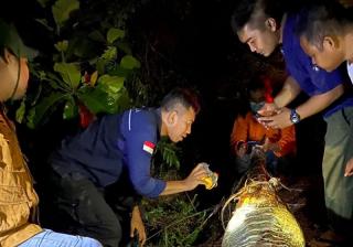 Usai Terkam Warga Hingga Tewas, Buaya di Pelalawan Malah Ditemukan Mati Penuh Luka
