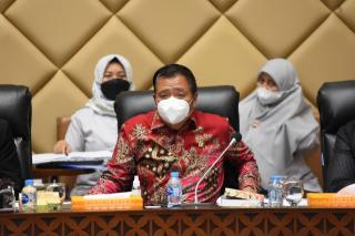 DPR: Kenapa Harga Tiket Pesawat Mahal Sekali?