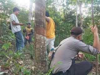 Mencekam! Pura-pura Pingsan, Warga Kuansing Ini Selamat dari Serangan Beruang Madu