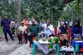 Wagubri Imbau Masyarakat Kembangkan Bibit Durian Lokal