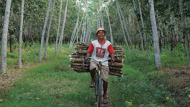 Alokasi Khusus Perhutanan Sosial Riau Luasnya 1.234.428 Ha