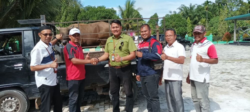 RAPP Salurkan 53 Hewan Kurban untuk 30 Desa di 5 KabupatenÂ