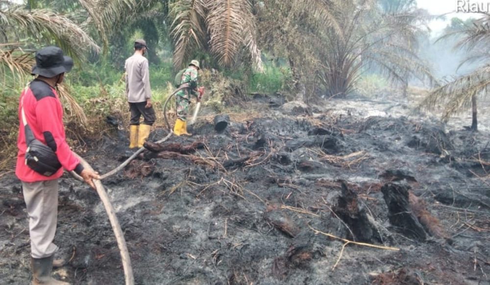 Ada Karhutla di Tiga Daerah, BPBD Riau Kerahkan Helikopter Water Boombing