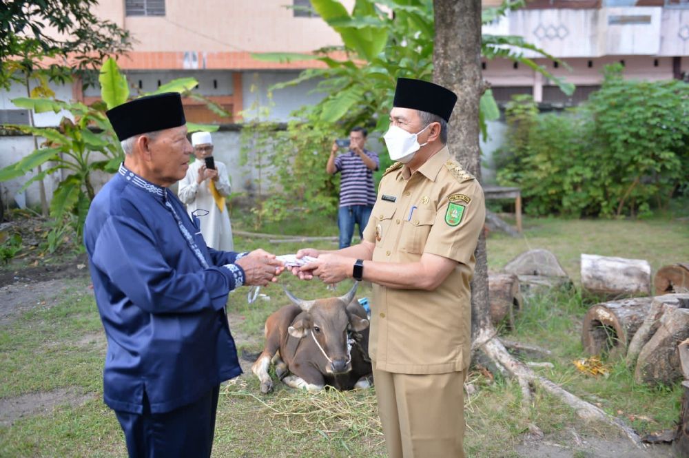 Gubri Serahkan Serahkan Sapi Kurban untuk PWRI Riau
