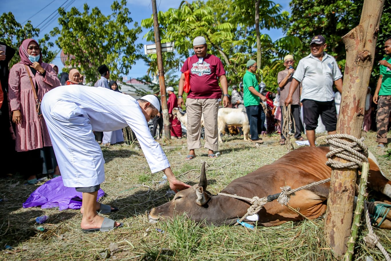 Wako Paisal Tinjau Proses Penyembelihan Hewan Kurban di Kota Dumai