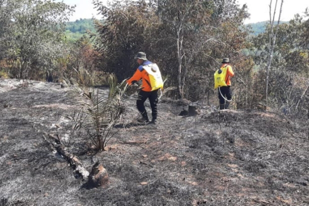 Satgas Berhasil Padamkan 11 Hektare Lahan yang Terbakar Kampar