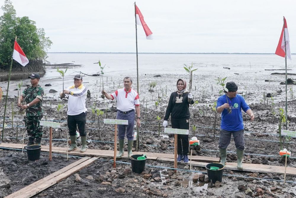 Gubernur Riau Lakukan Pencanangan 200 Ribu Bibit Mangrove di Bengkalis