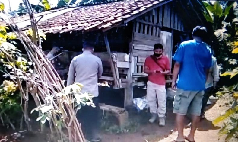 Geger! Belasan Kambing Warga Dicuri dan Dibunuh lalu Dibuang