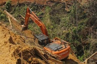 Gubri Minta DLHK Riau Tindak Tegas Pelaku Perambah Taman Nasional Bukit Tigapuluh