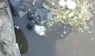 Terungkap! Ini Identitas Mayat Pria yang Ditemukan Mengapung di Sungai Siak