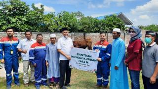 Pemko Dumai Terima Bantuan Sapi Kurban dari PT Pertagas