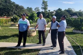 Mengintip Kebun Durian Percontohan Wagub Riau di Pekanbaru