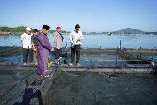 Wagubri Kagum Melihat Potensi Kerambah Ikan di Danau Koto Panjang