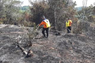 Satgas Berhasil Padamkan 11 Hektare Lahan yang Terbakar Kampar