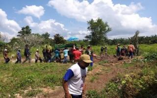 Tragis! Diduga Kelaparan, Gajah Liar Mengamuk di Lahan HTI, 1 Warga Tewas TerinjakÂ 