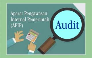 Pemprov Riau Raih Poin 94,75 dalam Penilaian Sejawat