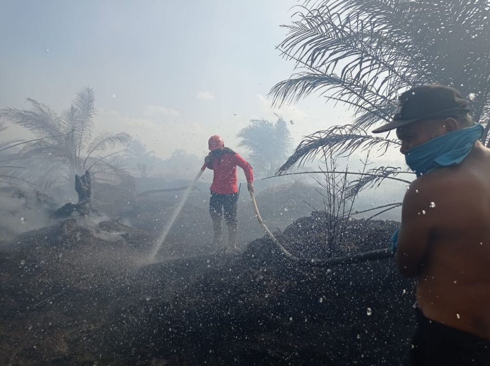 Paling Banyak di Inhil, 9 Orang Jadi Tersangka Kasus Kebakaran Lahan di Riau