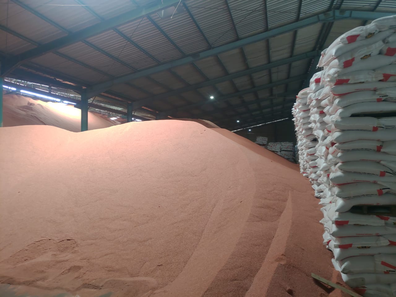 Mega Eltra Dukung Ekspor Industri Kayu Ringan