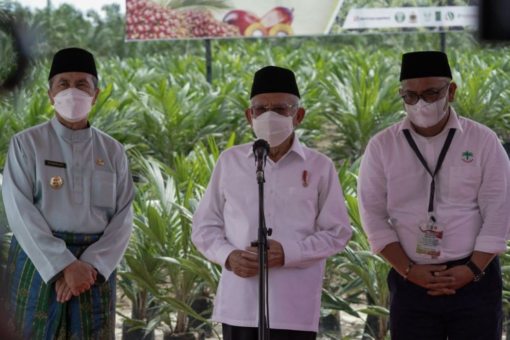 Wapres Serahkan 10.000 Kecambah Sawit Hibrid Kepada Ponpes Teknologi Riau