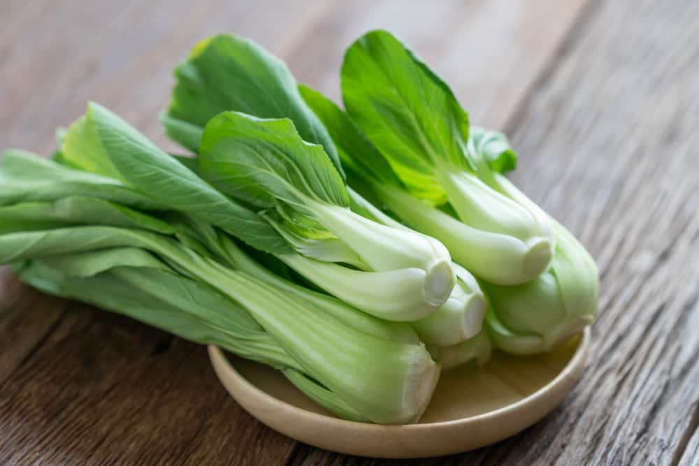 Bisa Menjaga Kesehatan Jantung, Ini Lima Manfaat Makan Sayur Sawi