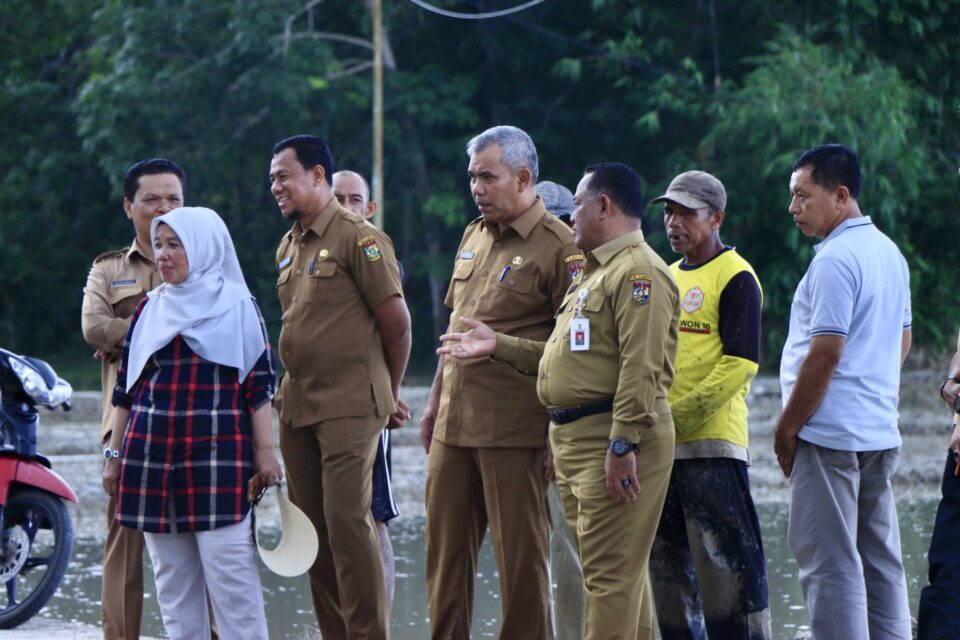 Pj Bupati dan Sekda Kampar Tinjau Lokasi Launching Beras Ulu Kasok di Desa Binuang