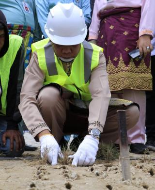 Berstandar FIFA, Muflihun Tanam Perdana Rumput Manila di Lapangan Sepakbola Sport Center