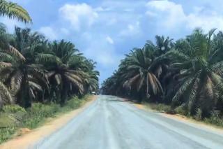 Jalan Alternatif Pekanbaru-Siak di PT SIR Masih Tahap Pengerjaan, Ini Penampakannya