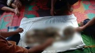 Ngeri! Diduga Dimangsa Harimau Sumatera, Jasad Korban Ditemukan Tinggal Tulang Belulang