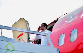Hari Ini, Presiden Jokowi akan Luncurkan Food Estate