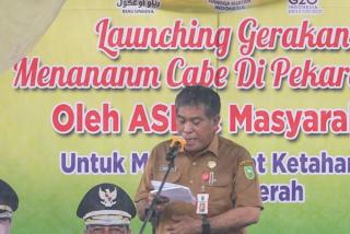 Tekan Inflasi, Pemprov Riau Launching Gerakan Tanam Cabai