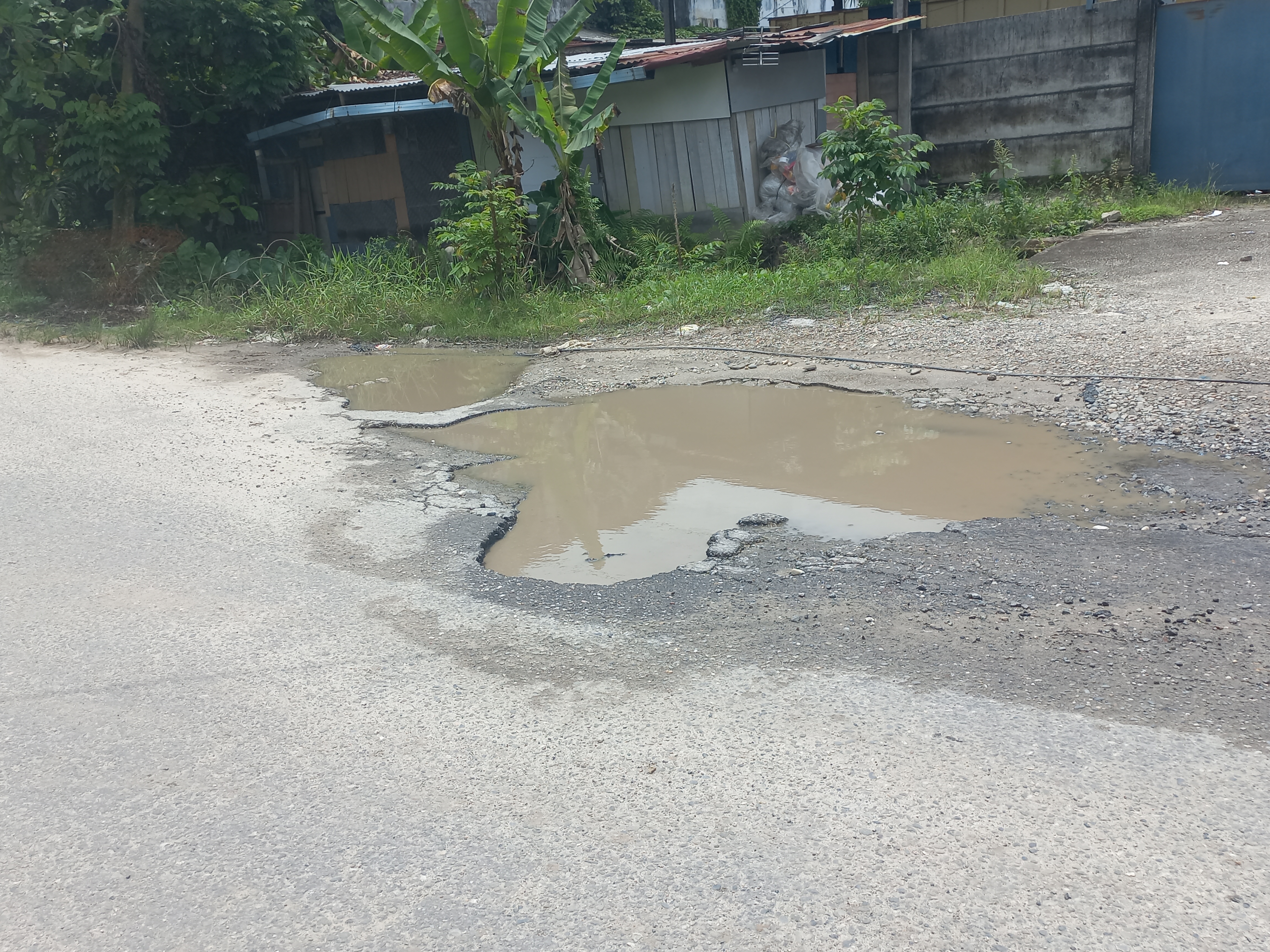 Banyak Lubang di Jalan Pemuda, Tampan, Kadis PUPR Janji akan Diperbaiki