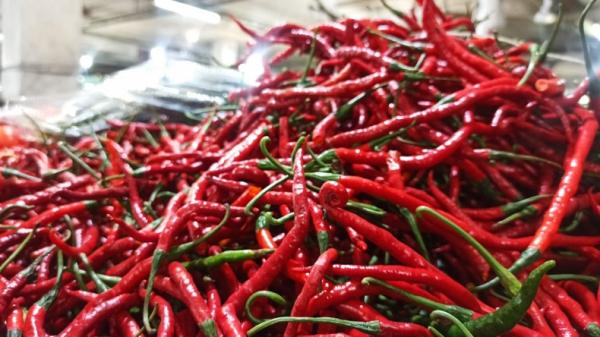 Pedas! Harga Cabai di Pekanbaru Naik Lagi Jadi Rp 100 Ribu/Kg