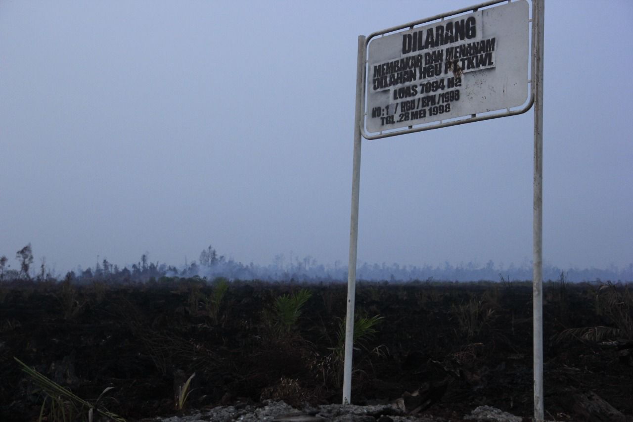 Aktivis Lingkungan Hidup Pertanyakan Janji Reforma Agraria di Areal Kerja PT TKWL