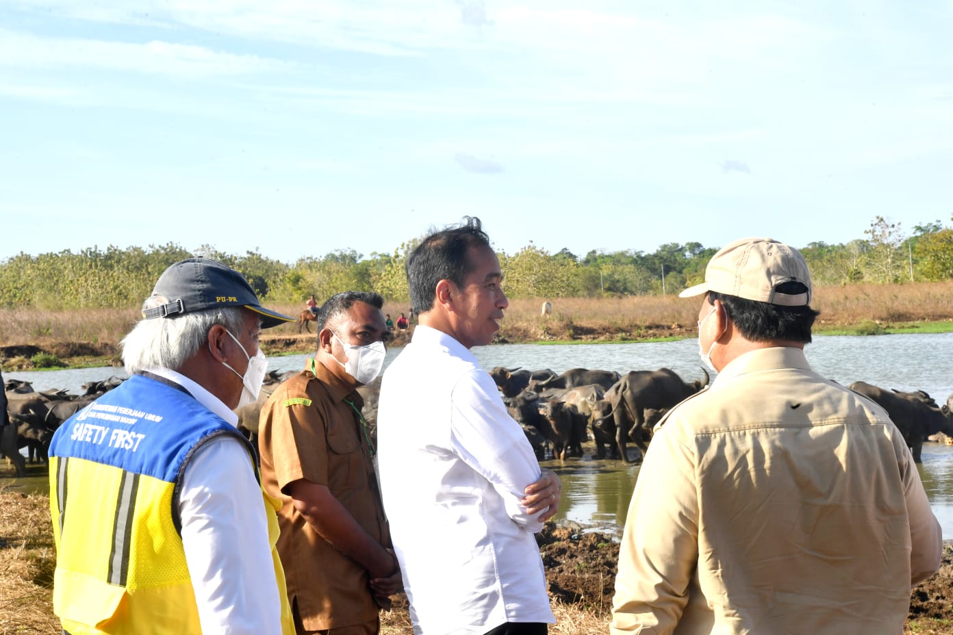 Presiden Serap Aspirasi Peternak Kerbau di Pulau Moa soal Kesulitan Air