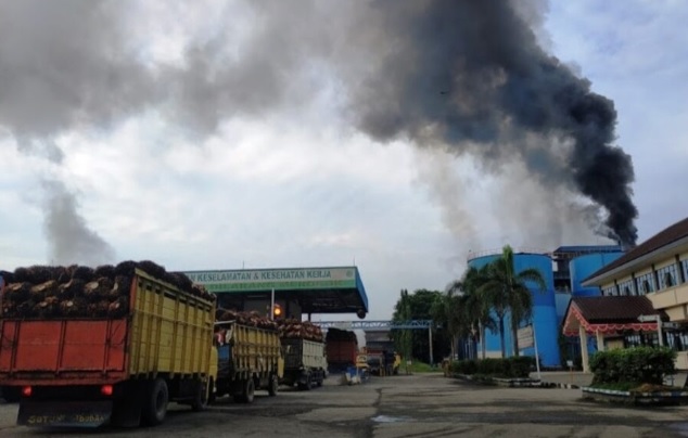 Direktur PT SIPP Jadi Tersangka Baru Kasus Pencemaran Lingkungan di Bengkalis