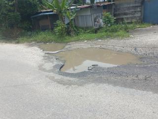 Banyak Lubang di Jalan Pemuda, Tampan, Kadis PUPR Janji akan Diperbaiki