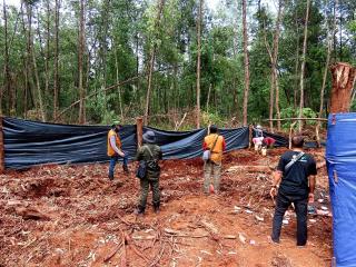 Tolongggg! Mau Buang Air, Nihar Diserang Harimau Sumatera, Begini Kondisinya