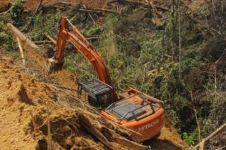 Hakim PN Pekanbaru Kabulkan Praperadilan Tersangka Perambah Hutan, DLHK Riau Kecewa