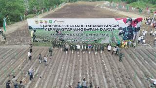 Dukung Ketahanan Pangan Nasional, TNI AD Bersama PHR Olah 100 Ha Lahan di Wilayah Bengkalis