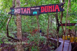 Riau Terima Peta Mangrove Nasional Terbaru